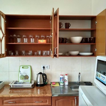 Apartments Domovik Просторная Квартира С Видом На Горы Mukacheve Bagian luar foto