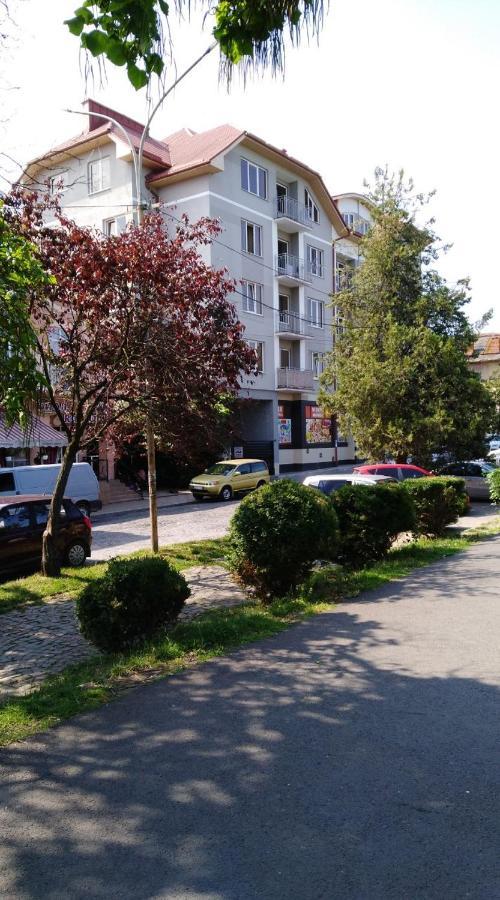 Apartments Domovik Просторная Квартира С Видом На Горы Mukacheve Bagian luar foto