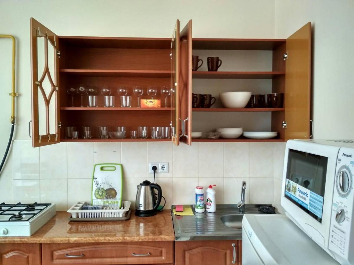Apartments Domovik Просторная Квартира С Видом На Горы Mukacheve Bagian luar foto
