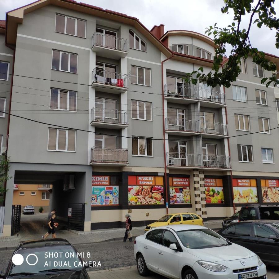 Apartments Domovik Просторная Квартира С Видом На Горы Mukacheve Bagian luar foto