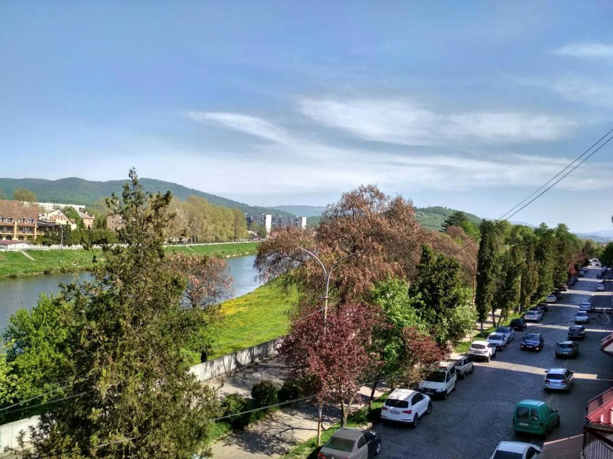 Apartments Domovik Просторная Квартира С Видом На Горы Mukacheve Bagian luar foto
